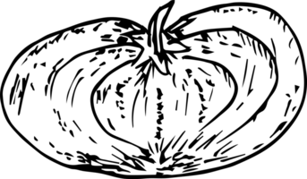 Hand drawn tomato on transparent background. png