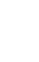 Hand drawn radish on transparent background. png