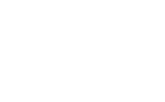 Hand drawn onion on transparent background. png