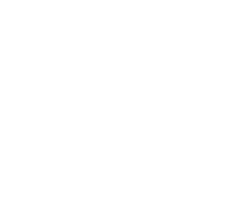 Hand drawn tomato on transparent background. png