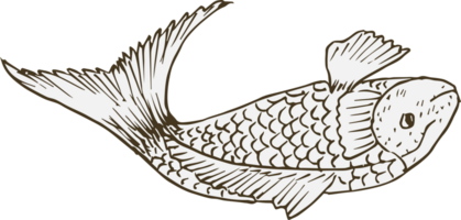 Hand drawn fish on transparent background. png