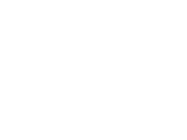 mano dibujado vegetal en transparente antecedentes. png