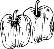 Hand drawn bell pepper on transparent background. png