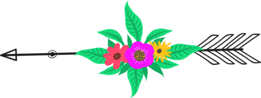 Arrow with flowers and feather. png