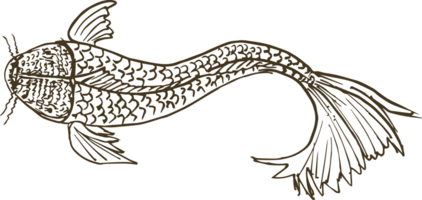 Hand drawn fish on transparent background. png