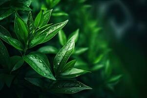 Close Up Green Leaves Nature Background Place Text Generative AI photo