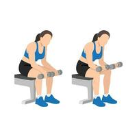 Woman doing seated dumbbell palm down wrist curls or forearm curls exercise. vector