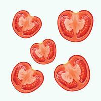 tomatos half set vector