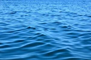 rippled water surface photo