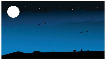 View of the night sky on a dim and beautiful hill. Accompanied by silhouettes of birds on the hill at night and shining moonlight, vector illustration.