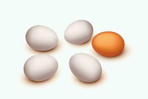 eggs in set vector