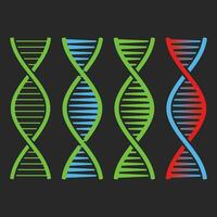 dna set colored 01 vector