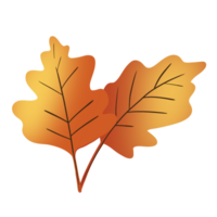 autunno le foglie elemento png