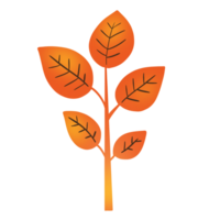 autumn leaves element png