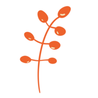 herfst bladeren element png