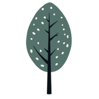 Autumn tree with leaf png