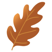 l'automne feuilles élément png