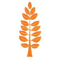 Autumn tree with leaf png