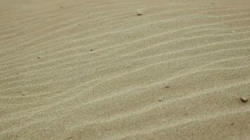natural ola modelo en duna arena video