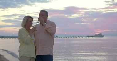 Pareja teniendo romántico playa caminar con vino video