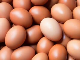 fresh organic raw eggs in the market photo