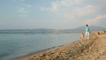 Father and his small son walking on the beach video