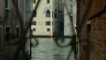 un parte de un Venecia zona siendo visto mediante el calado enrejado video