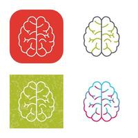 Brain Vector Icon