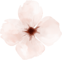 Watercolor Flowers Elements png