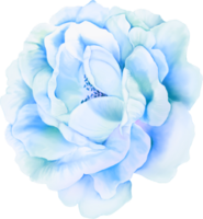 vattenfärg blommor element png