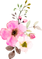 Watercolor Pink Flowers Bouquet png