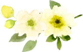 bouquet floreale ad acquerello png