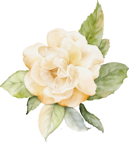 Watercolor bouquet of roses and leaves collection png