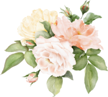 Rose Bouquet Watercolor Element png