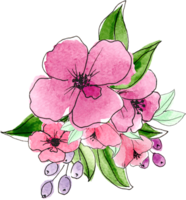 colorida fofa floral aguarela png