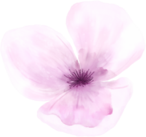 vattenfärg blommor element png