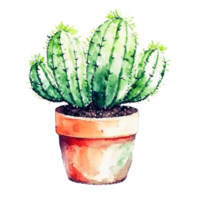 Cactus Pot Flower AI Generative png