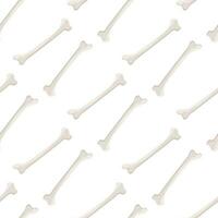 Seamless pattern  bone on white background. vector