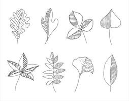 Set of vector doodle leaves. Hand drawn autumn leaves isolated in white background.