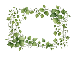 Vine Border PNG Transparent Background Ai Generative