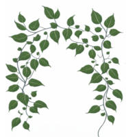 Vine Border PNG Transparent Background Ai Generative