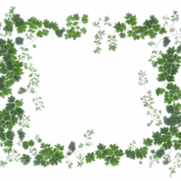 Vine Border PNG Transparent Background Ai Generative