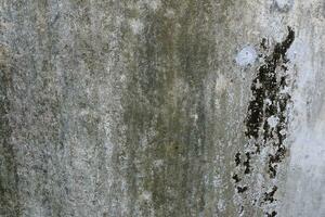 Empty very old brick wall Texture, Leaves lichen algae Moss tree at wall Cracked sesame , at temple historic archaeological site. selective focus photo