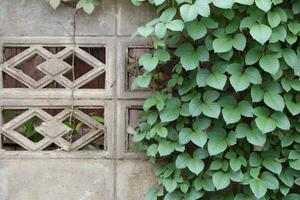 Wood and leaf texture background photo