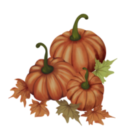 ilustración de calabaza madura png