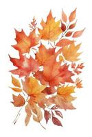 un lote de otoño hojas en un blanco antecedentes foto