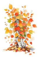 a lot of autumn leaves on a white background photo