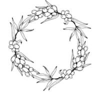 Vector sea buckthorn round wreath with branches and berries black and white graphic illustration. Floral frame template with copy space. Fall drawing for greeting card, stickers or invitation