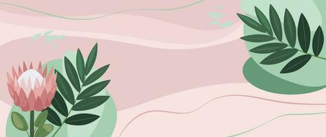 Tropical abstract background of hand drawn protea flower and leaves. Vector botanical illustration for banner, poster, Web and packaging.