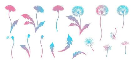 Dandelions, flowers, fluff and leaves. Dandelion design elements. vector